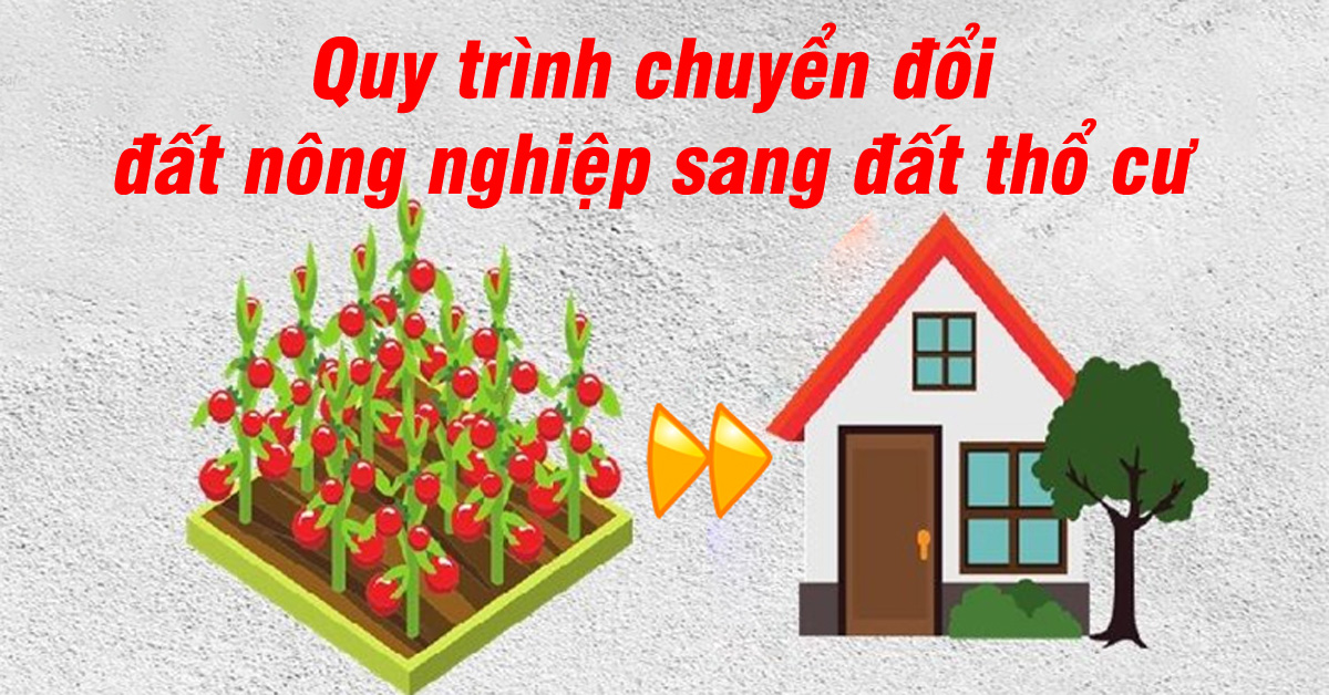 quy trình chuyển đổi đất nông nghiệp sang đất thổ cư avata