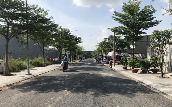 5 huong sen duc hoa