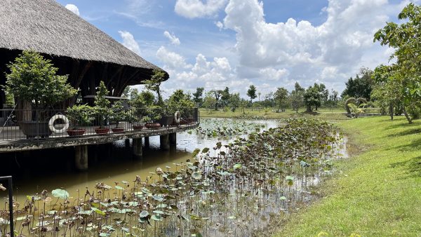 làng sen việt nam